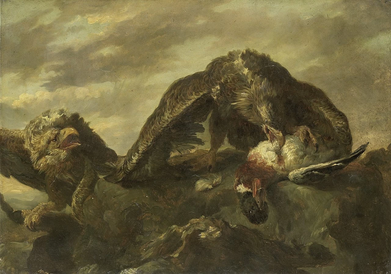 Aquile sulle rocce - Rijksmuseum Amsterdam